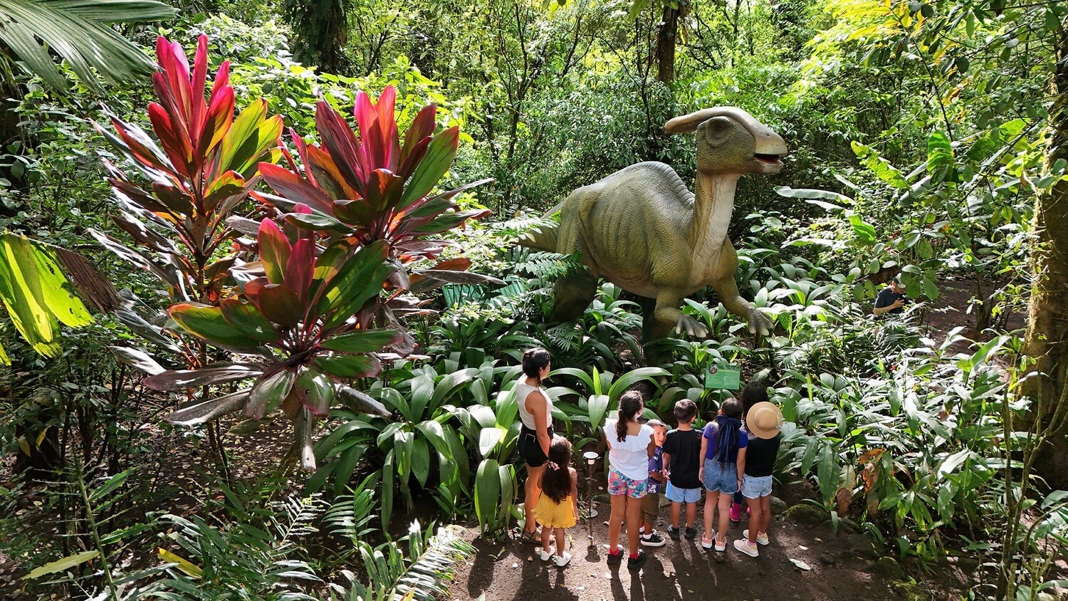 Dinosaur garden