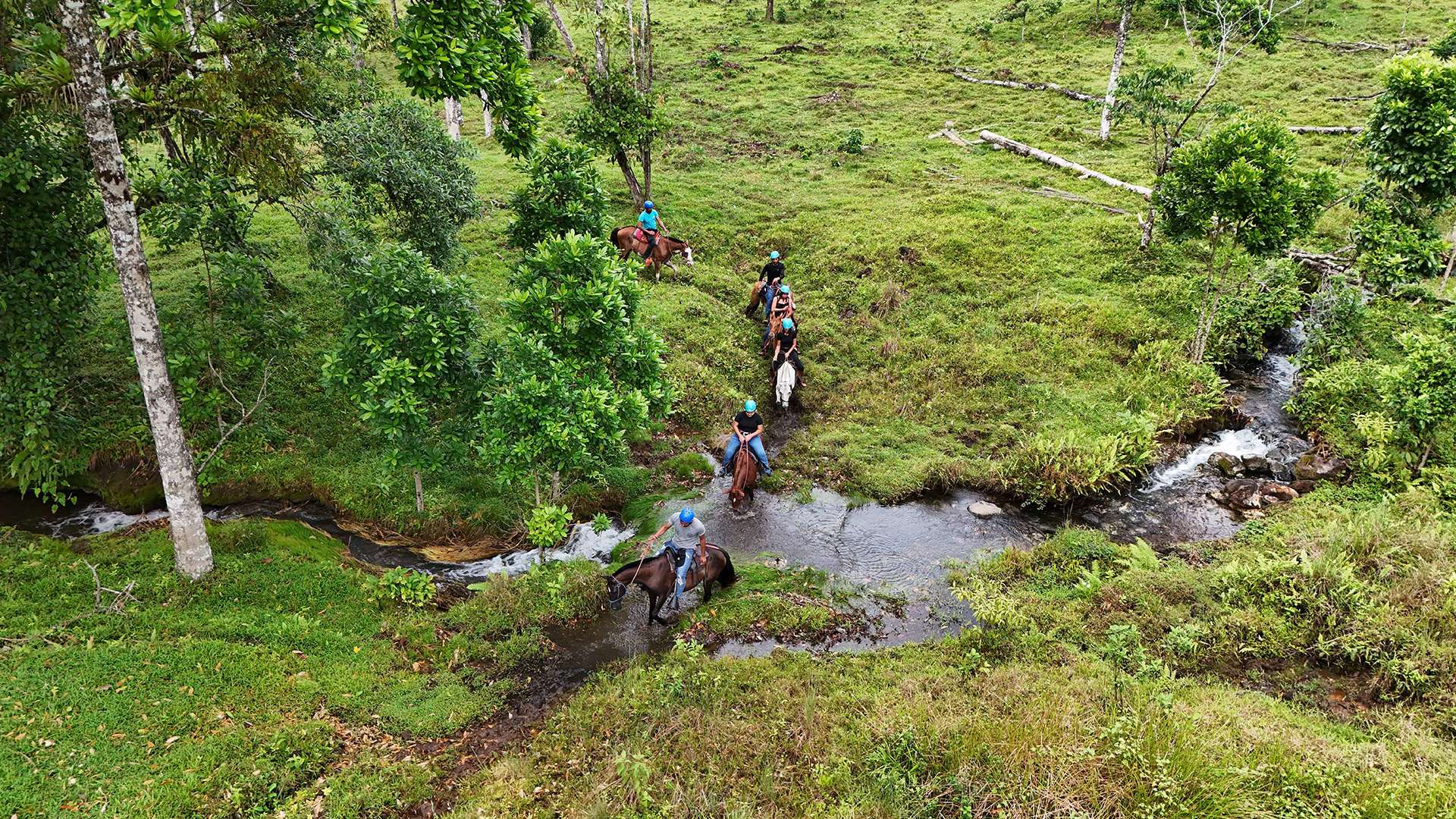 Nature Tour